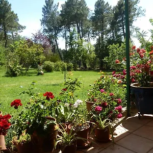 Domaine Du Planas - Patio , Ailhon France